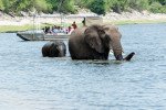 Land Packages on Zambezi Queen