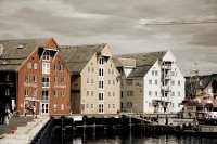 11 Image 11