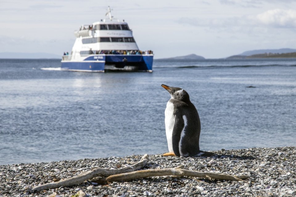 Ushuaia cruise port