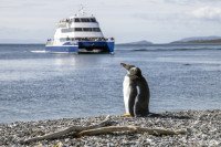 Ushuaia cruise port