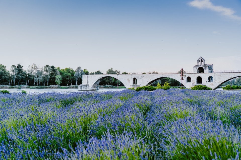 Avignon cruise port