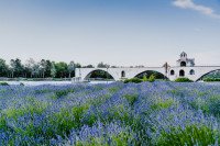 Avignon cruise port