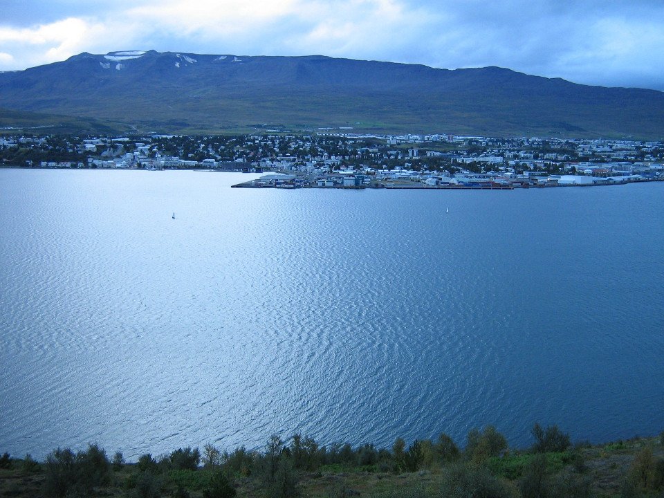 11 Image 11