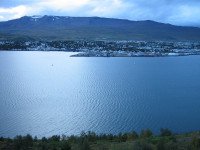 11 Image 11