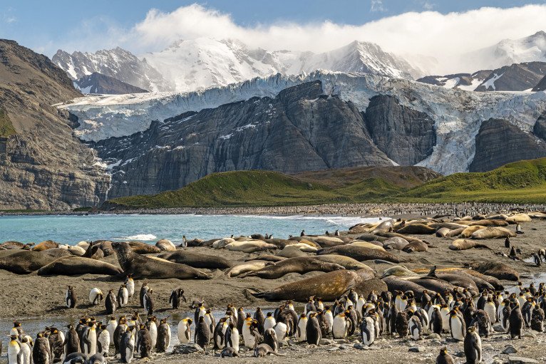 Scenic Eclipse Cruise Voyages