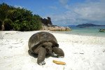 Included Excursions on Emerald Kaia