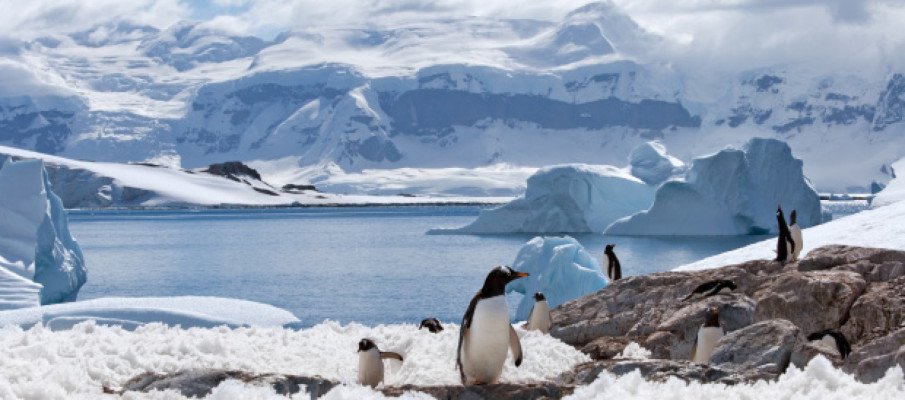 92-Day Papua New Guinea, Indonesia, Patagonia & Antarctica