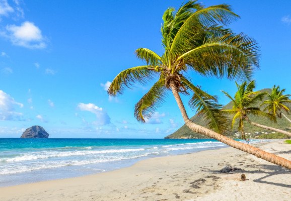Classic Caribbean