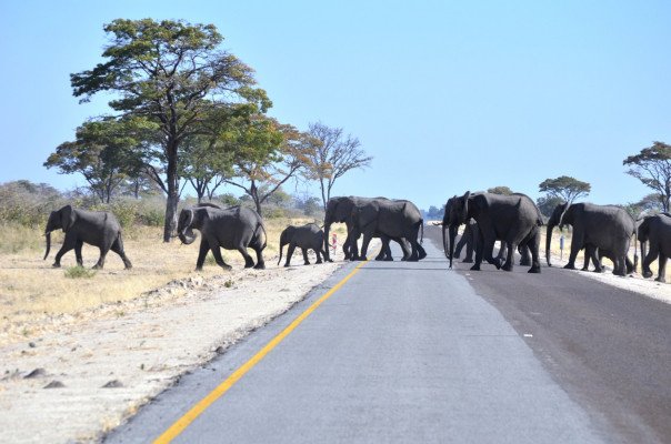 Rivers & Rails of Africa 12 Nights
