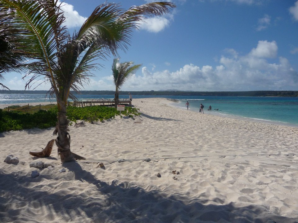 Vibes of the Virgin Islands