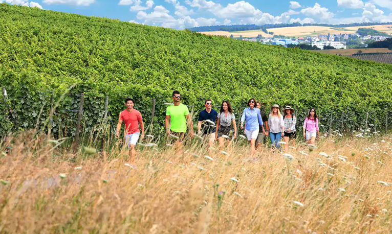AmaWaterways gallery image