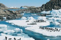 Antarctica