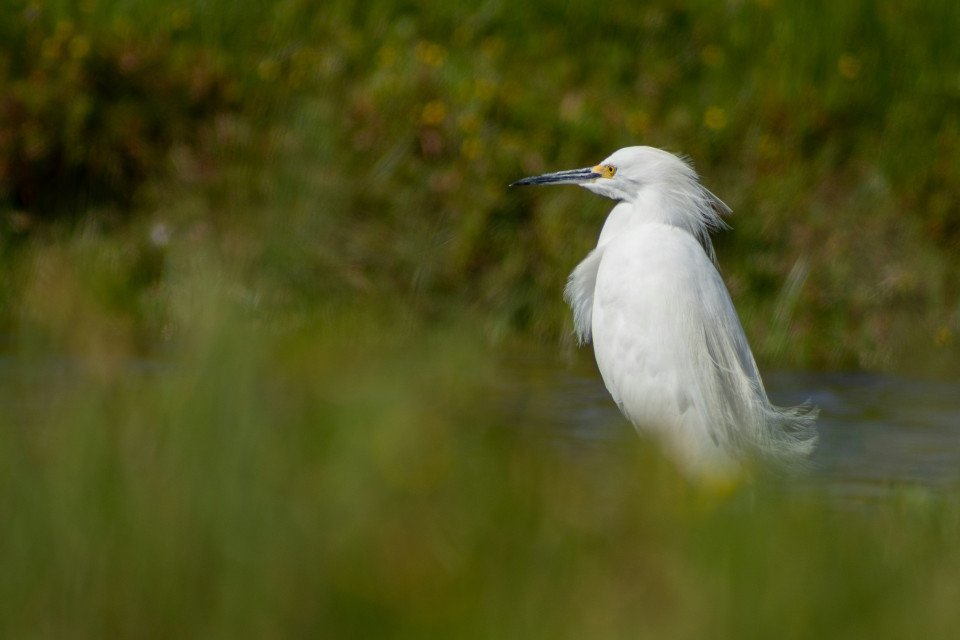 11 Image 11