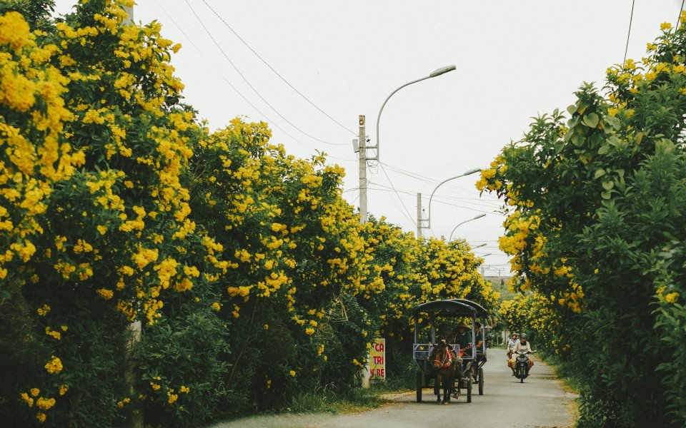 9 Image 9