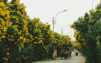 9 Image 9