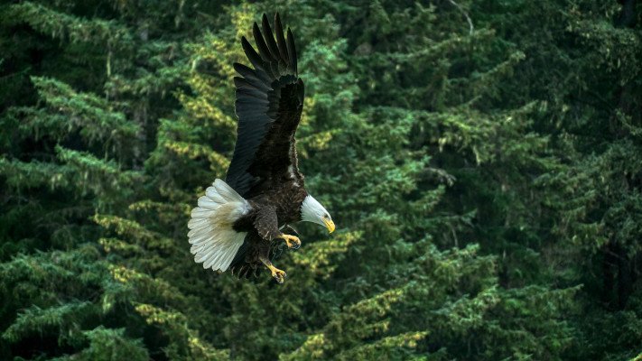 7-Day Glaciers & Alaska Inside Passage