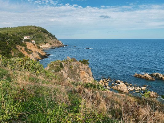 Old Country In Bloom