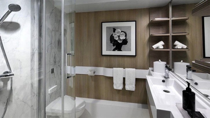 Ocean View Stateroom