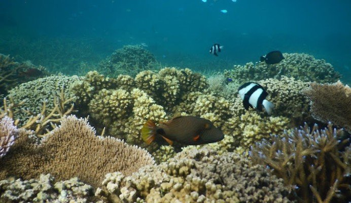 Vibrant Fiji & Polynesian Magic