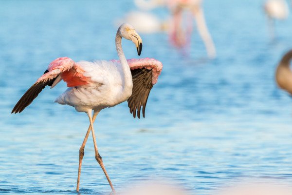 Galápagos Islands - Nine of the Best Isles Plus Machu Picchu