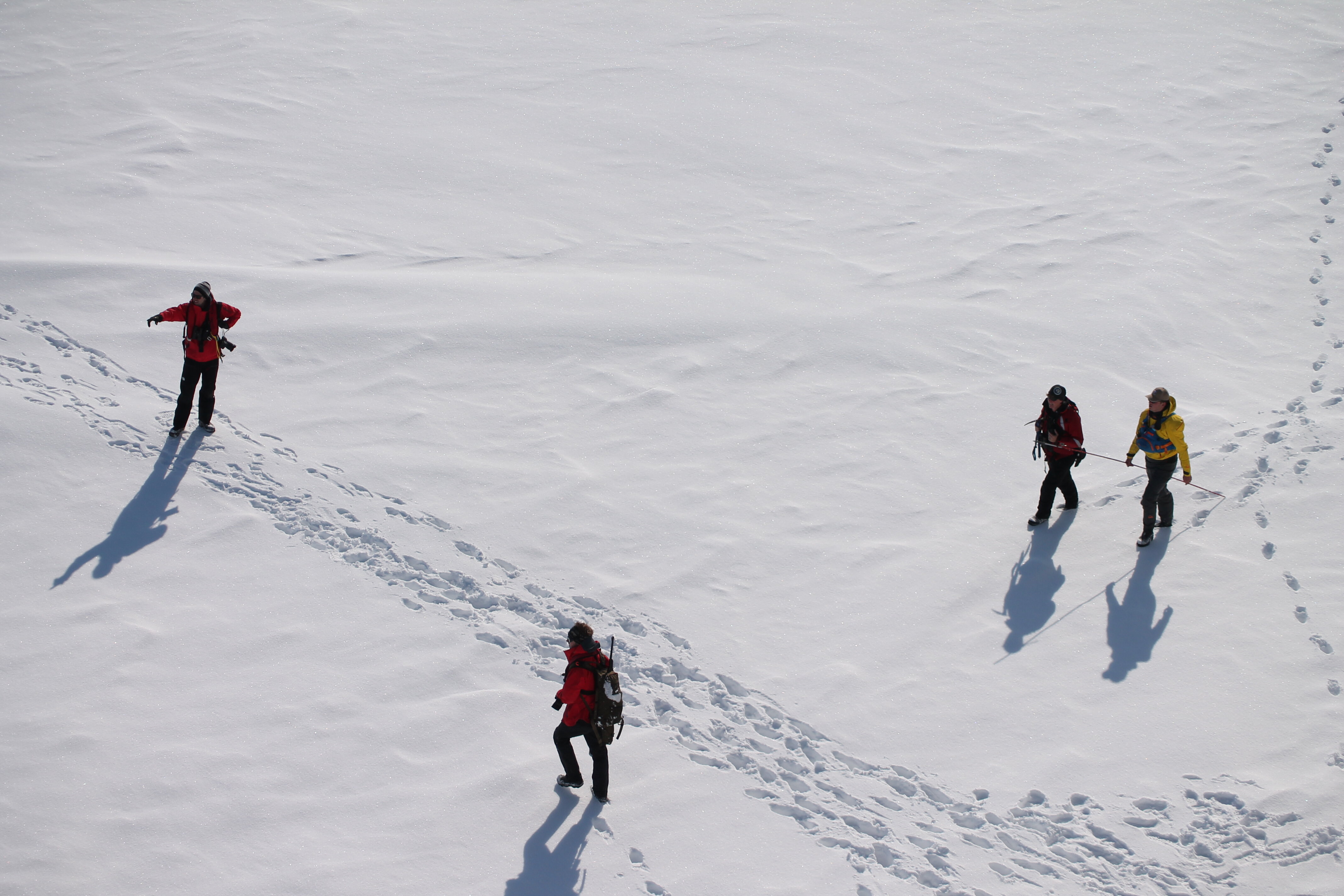 Arctic