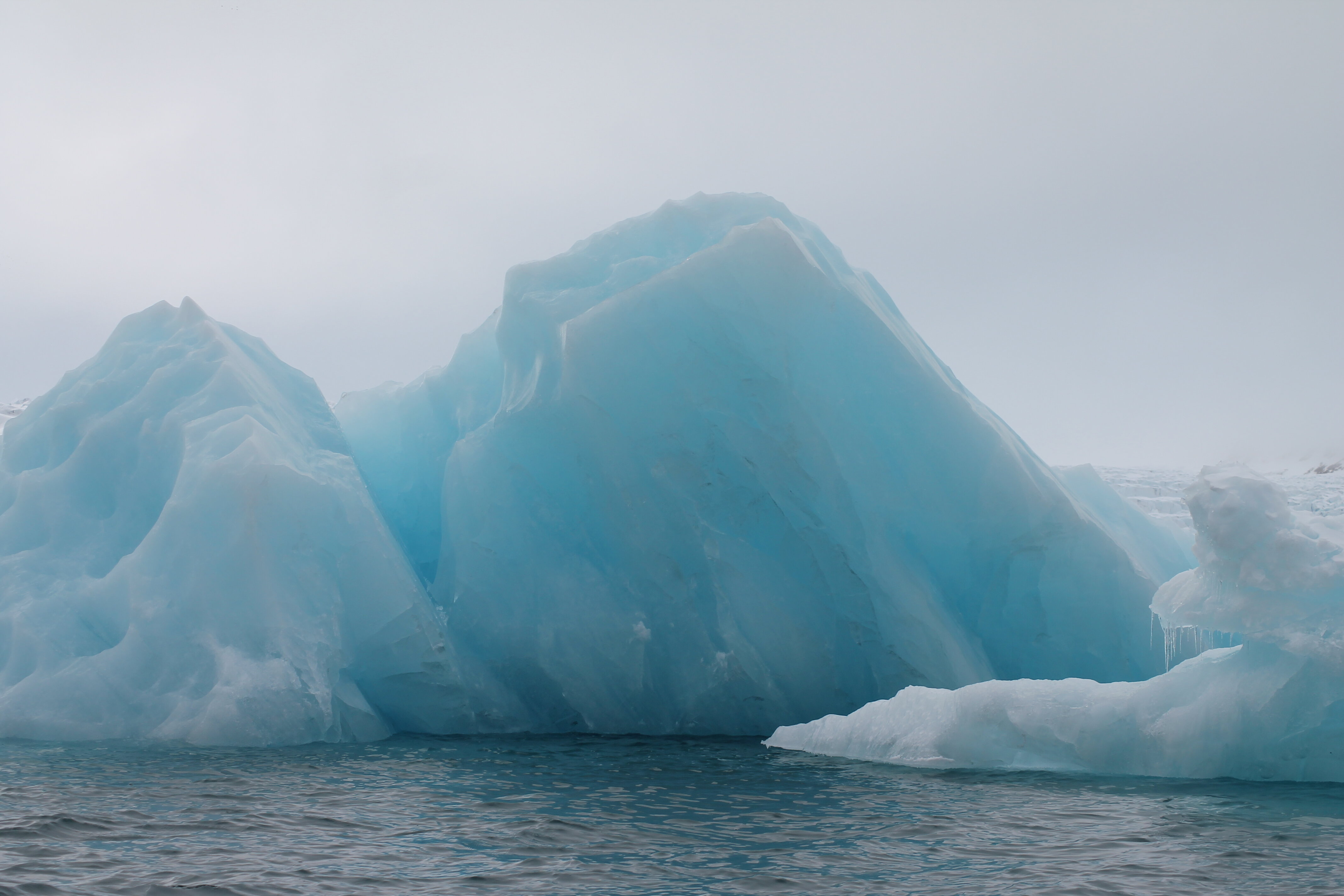 Arctic