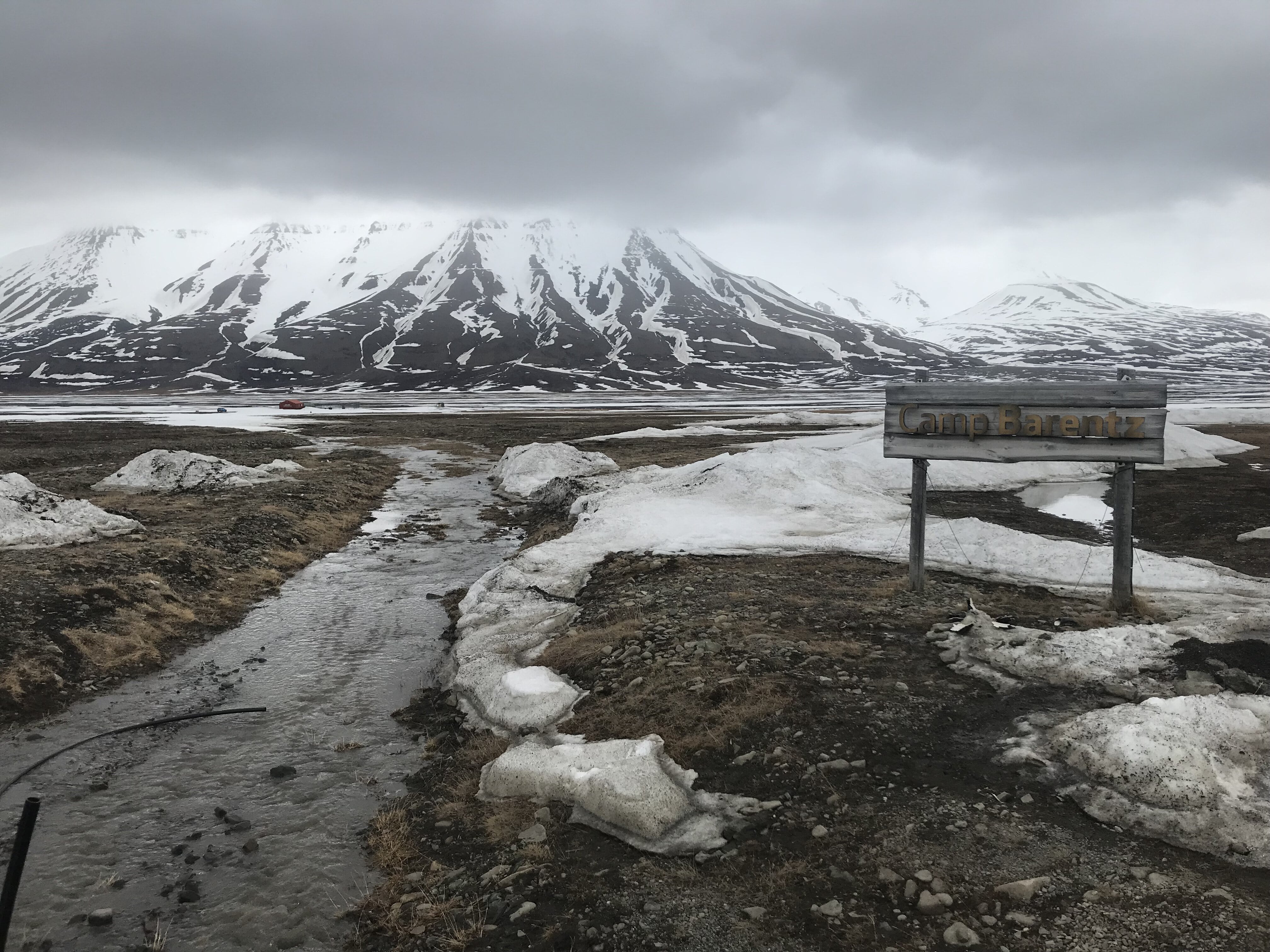 Arctic