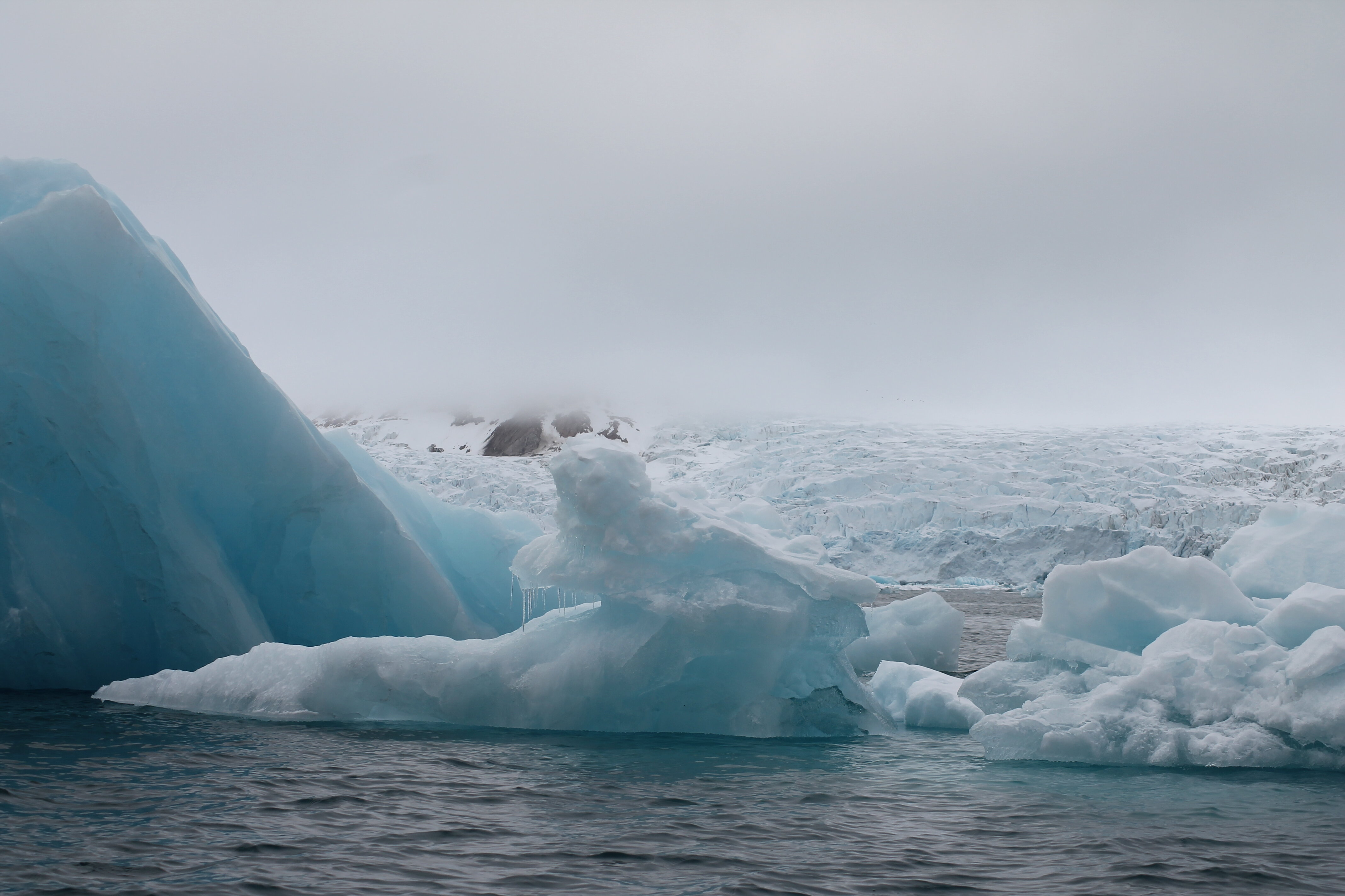 Arctic