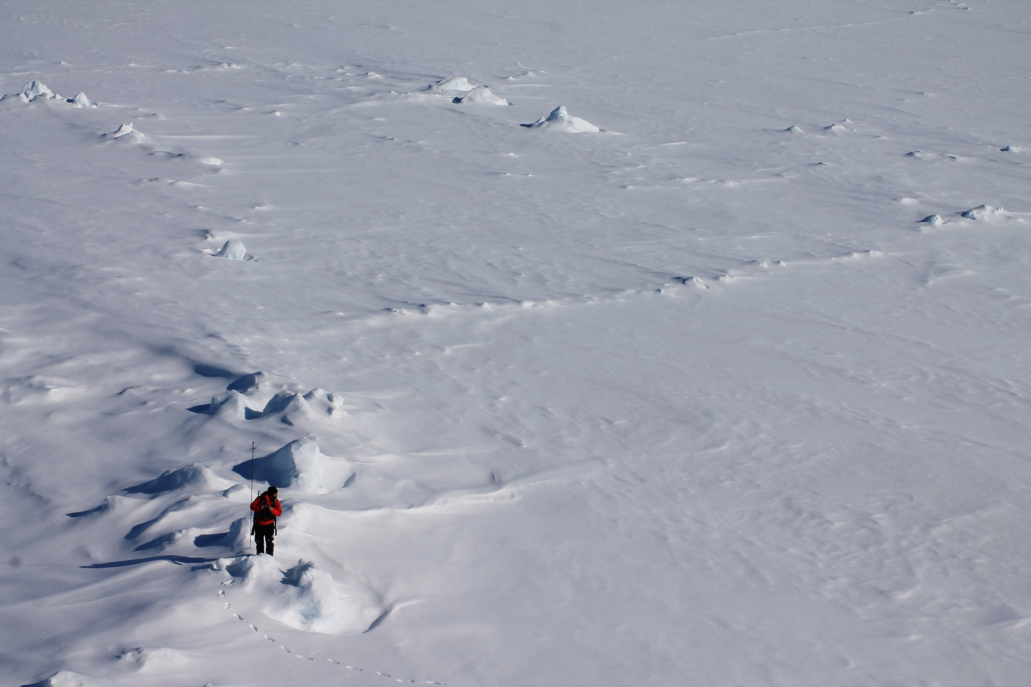 Arctic