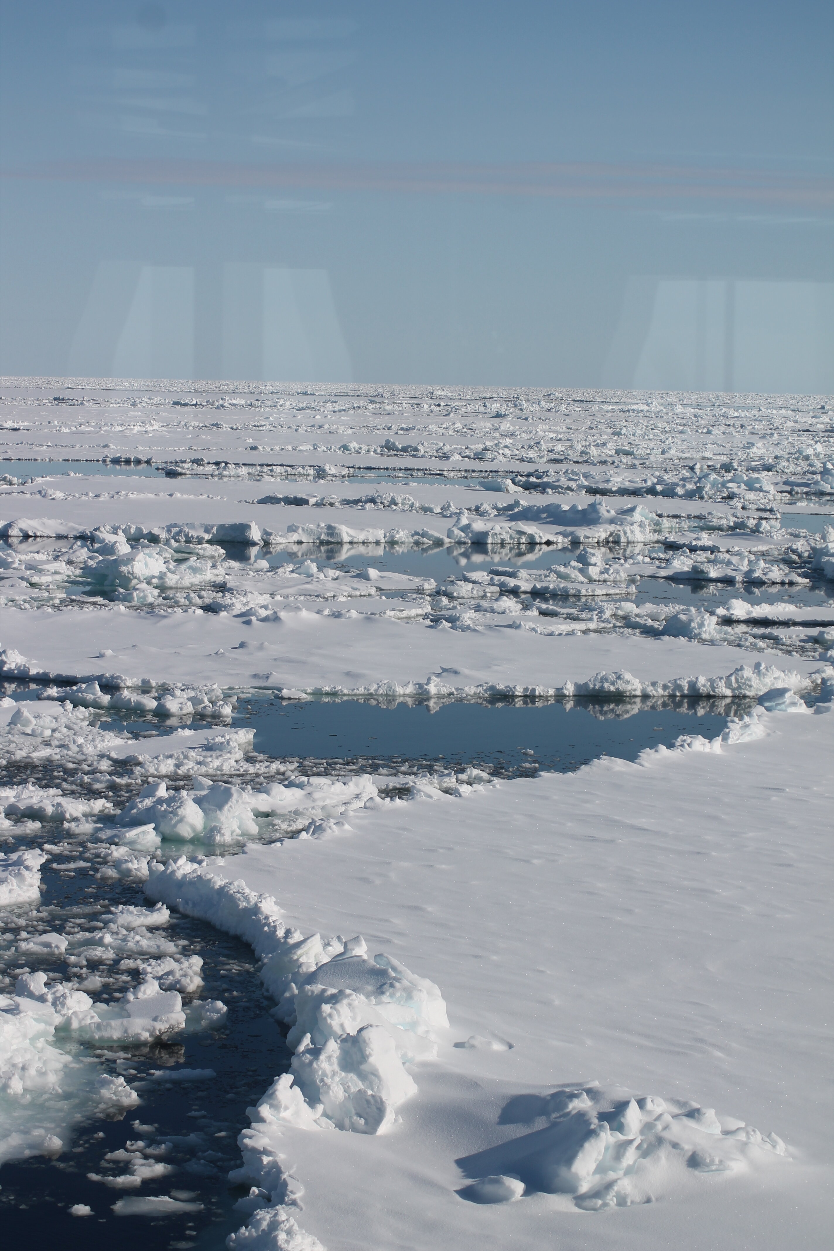 Arctic