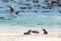 San Cristóbal Island, Galápagos cruise port