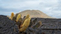 Sullivan Bay, Santiago Island, Galápagos cruise port