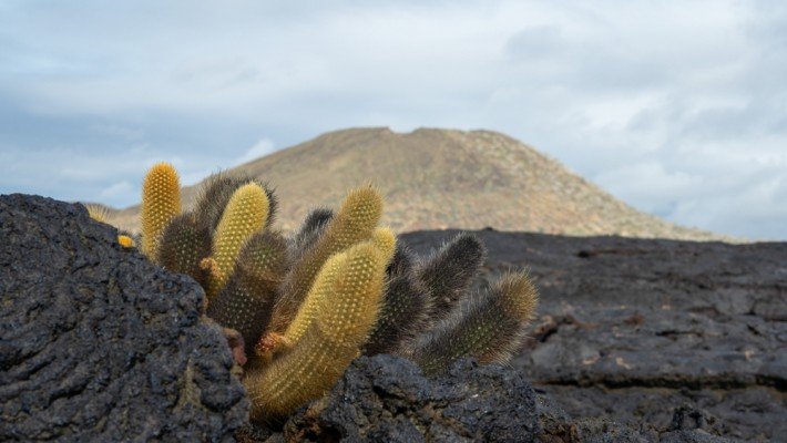 7 Night Galapagos Inner Loop Itinerary