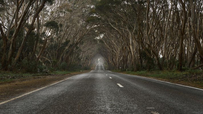 Australian Adventure