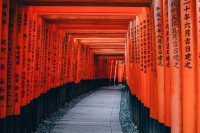 11 Image 11