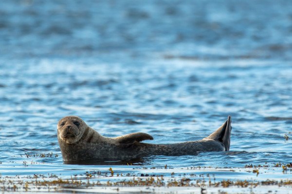 Alaska’s Inside Passage: Fjords of the Great Land