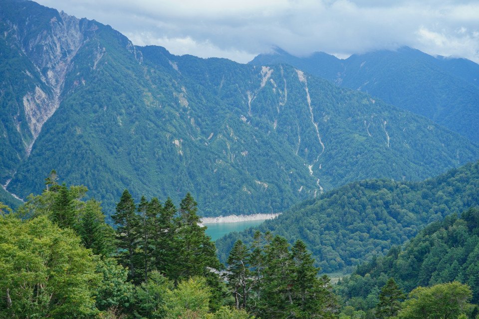 10 Image 10