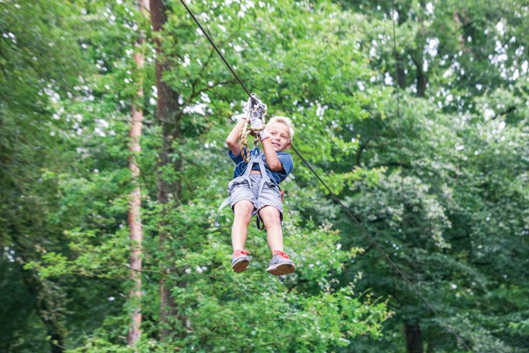 Generations Collection