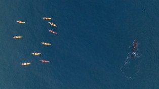 Ventures By Seabourn® on Seabourn Venture