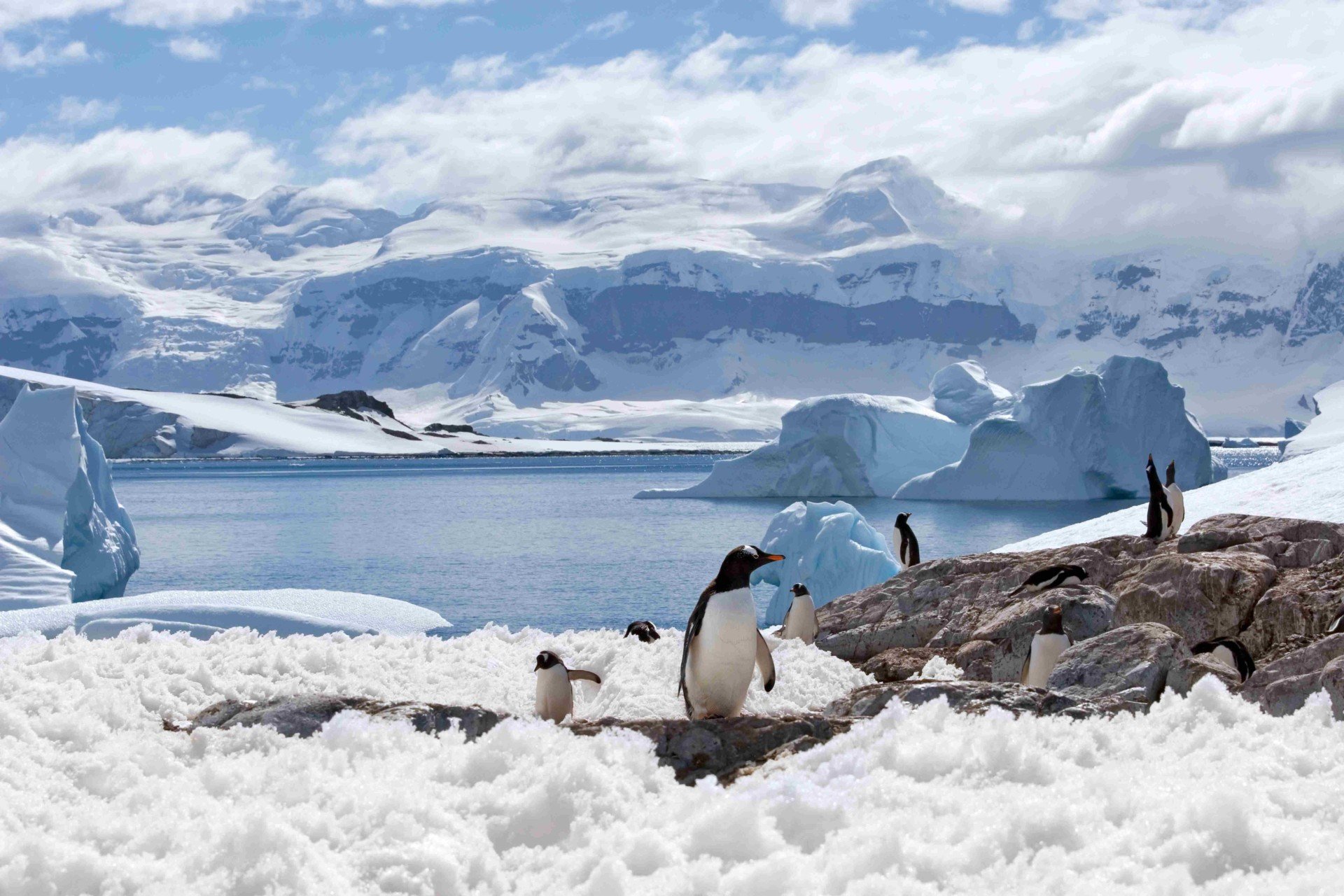 Remote Destinations blog-media