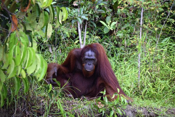 Hong Kong to Singapore