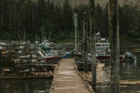 11 Image 11