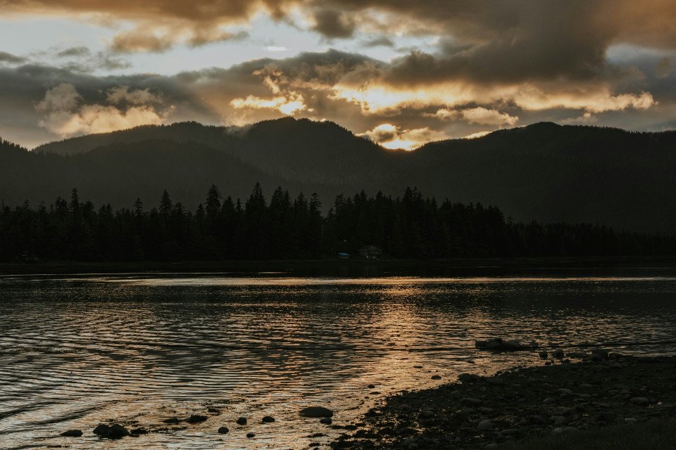 10 Image 10