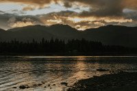 10 Image 10