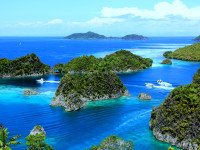 3 Image 3