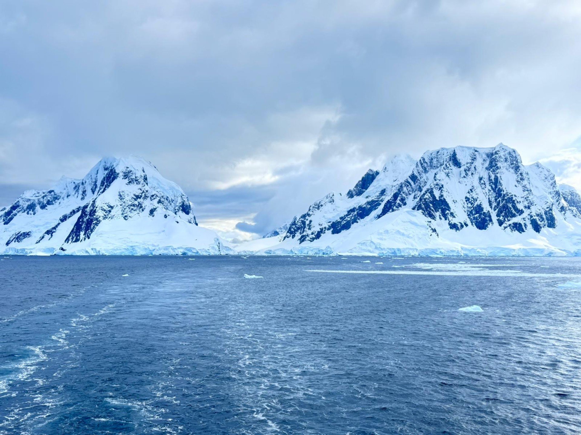 Our expedition cruise to Antarctica