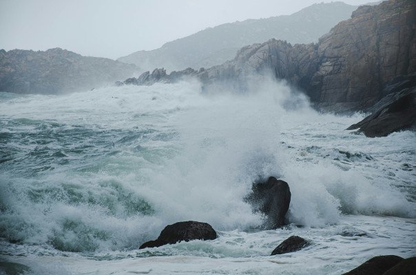 Serenity & Celebration