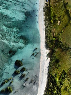 In The Wake of  Wallace: Indonesia & Borneo