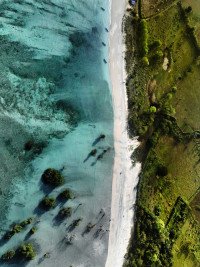 12 Image 12