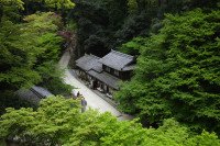 1 Image 1